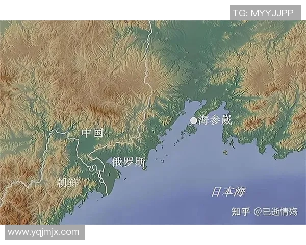 俄罗斯国家足球队的崛起与挑战解析及未来发展展望